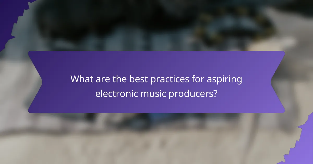 What are the best practices for aspiring electronic music producers?