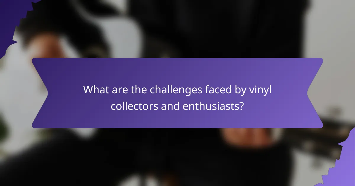 What are the challenges faced by vinyl collectors and enthusiasts?